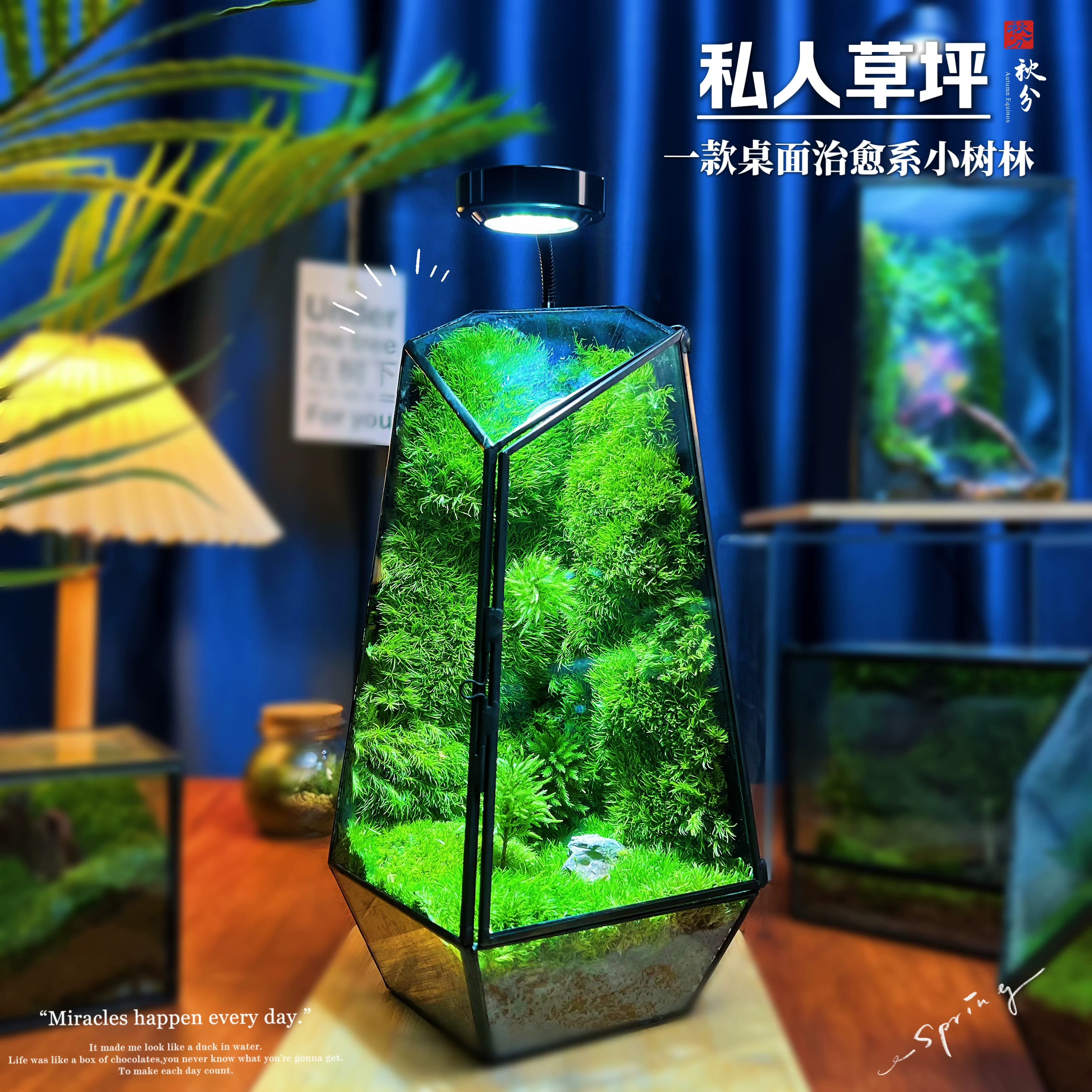 办公室桌面绿植摆件盆栽可养鱼