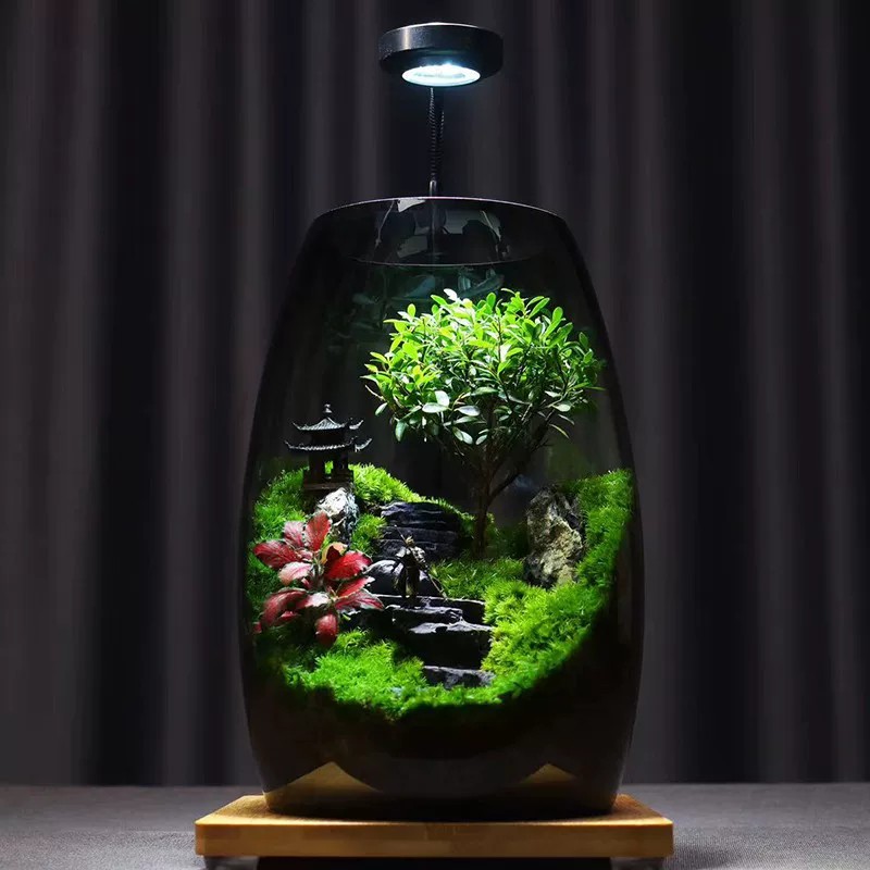 带灯光苔藓生态缸书桌氛围感神器