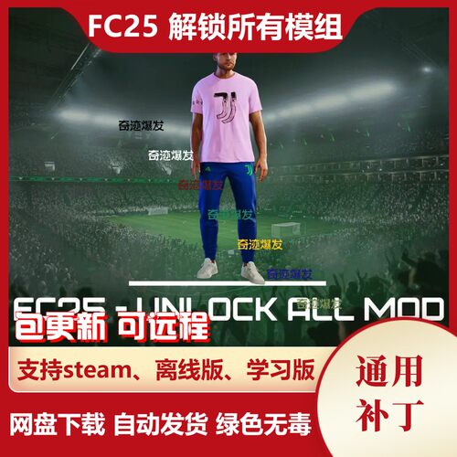 FC25 解锁所有补丁 fifa25 守门员手套球鞋经理服装足球 不含游戏