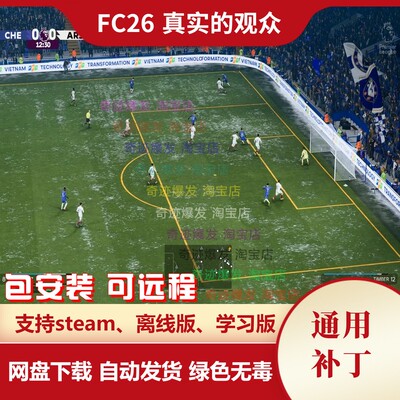 FC26 真实的观众 动态球场球迷更真实出勤率天气人气声望赛事有关