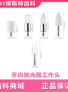 牙科抛光头耗材口腔缝刷美牙配件牙齿抛光器刷头多功能牙齿清洁器