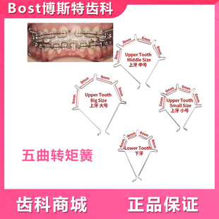 牙科五曲转矩簧五曲前牙 转矩簧五连簧上牙大中小号 下牙正畸材料