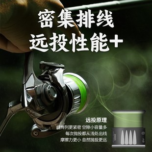 池刃蝰首二代密集排线路亚纺车轮微物轮浅杯鱼线轮碳纤维魁首渔轮