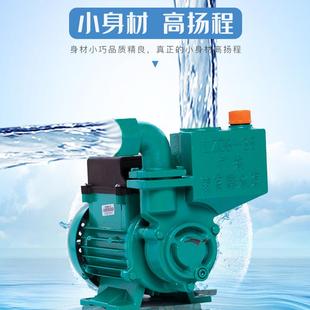 广东凌霄水泵1ZDB35家用自来水增压泵高扬程220V抽水机清水自吸泵