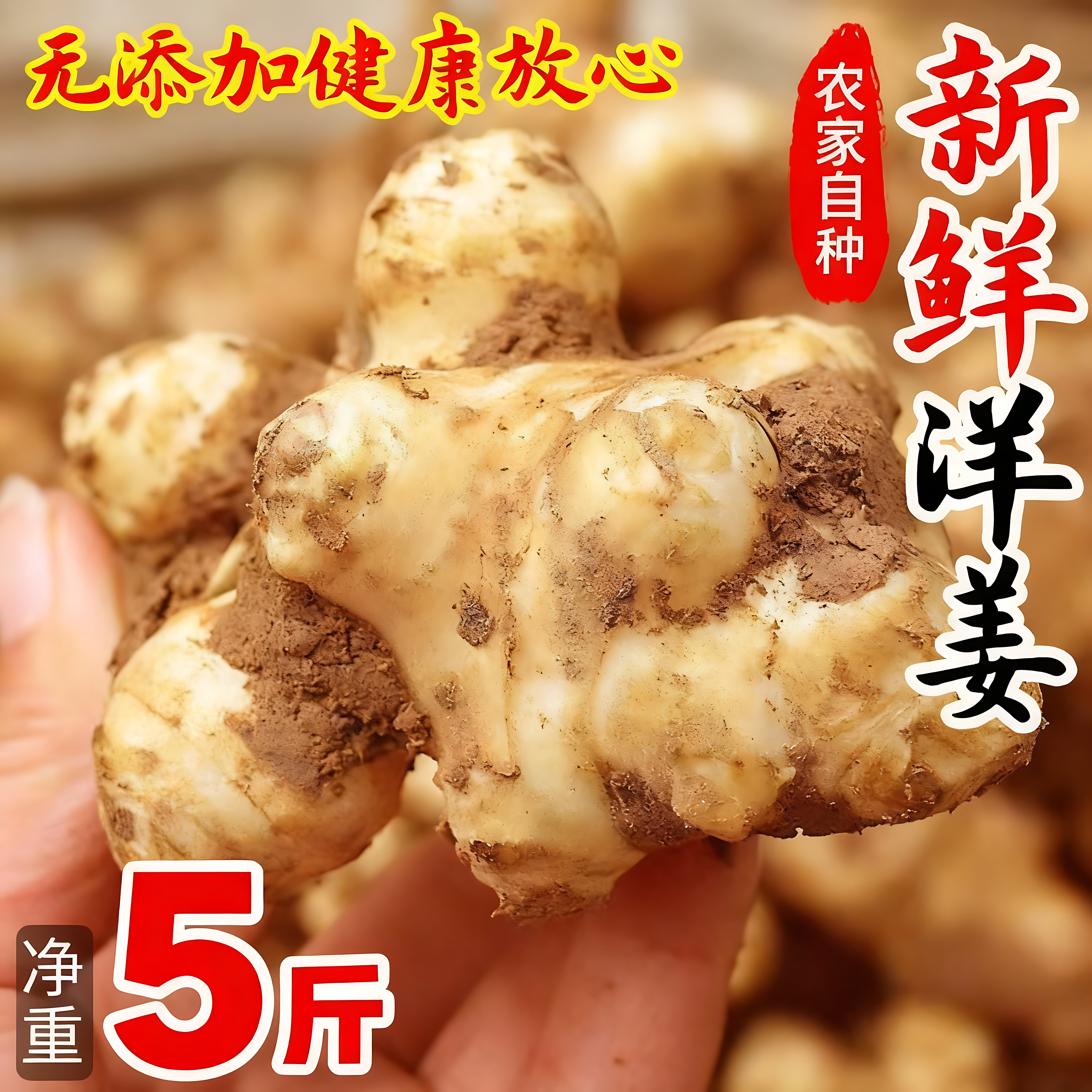 央妈推荐!洋姜新鲜现挖农家自种无添加官方旗舰店当季头茬鬼子姜
