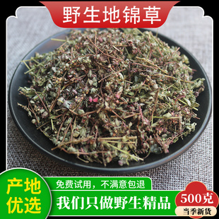 野生地锦草中药材的功效与作用铺地锦血见愁奶浆草正品官方旗舰店