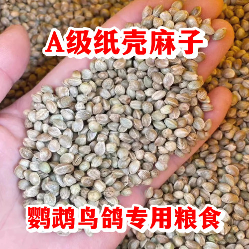 鹦鹉纸壳麻子大颗粒正品官方旗舰店新货鸟食饲料训练专用奖励零食
