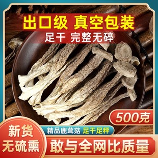鹿茸菇干货新鲜鹿茸菌云南野生菌类特产店脆脆菇煲汤食材蘑菇500g