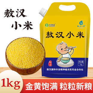小河沿敖汉小米2023秋季新米内蒙古赤峰敖汉旗黄小米5斤金苗K1