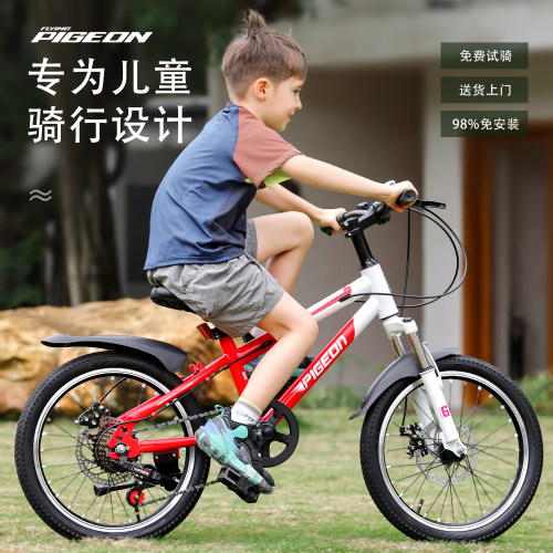 飞鸽新款儿童自行车男孩3岁到6岁