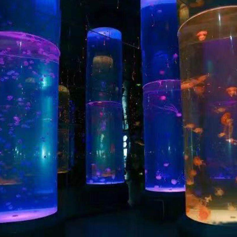 弧形圆柱鱼缸水族工程别墅海水缸客厅落地专业生态鱼缸大型海洋缸,宠物/宠物食品及用品,海鲜缸/大型异形缸,淘宝优惠券,粉丝福利购,淘宝优惠卷