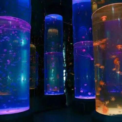 弧形圆柱鱼缸水族工程别墅海水缸客厅落地专业生态鱼缸大型海洋缸