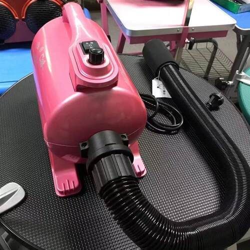神宝猫咪专用宠物吹水机负离子湿润毛发不干燥大功率轻音宠物吹风