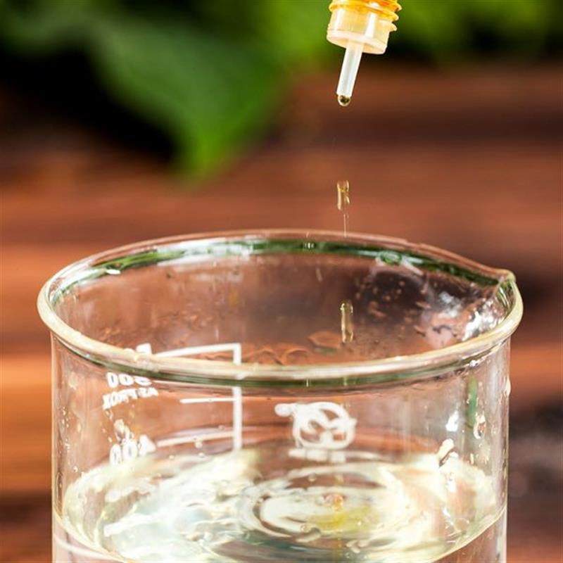 生根液生根粉植物通用生根剂生根壮苗剂发芽生根水强力快速生根跟,鲜花速递/花卉仿真/绿植园艺,家庭园艺肥料,淘宝优惠券,粉丝福利购,淘宝优惠卷