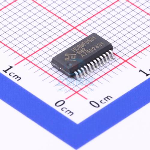 单片机(MCU/MPU/SOC) HC89F0531-SSOP24-T-M SSOP-24 holychip(芯