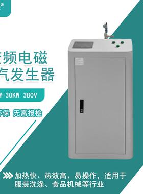 服装洗食品加工生物工用途多化变QVX频电磁涤蒸汽发生器加热快效