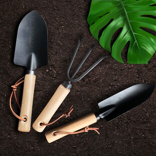 小型日式黑铲两件套园艺工具翻土种植铲子耙子种花园艺铲赶海神器