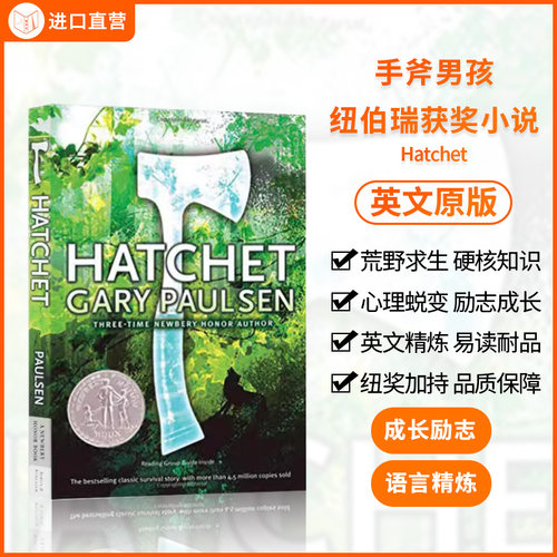英文原版手斧男孩悬疑探险小说