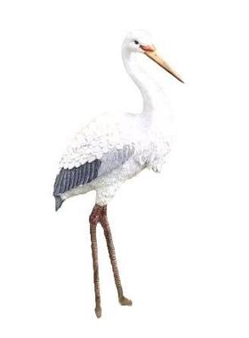 厂家直销仿真苍鹭摆件户外花园庭院园林造景装饰白鹭树脂工艺品