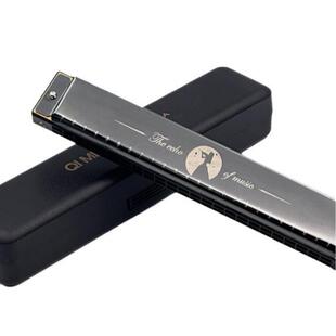 24孔复音口琴C调成人自学儿童初学口琴初学者乐器