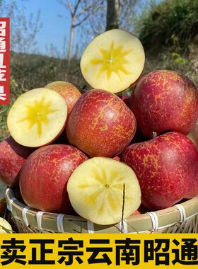 正宗云南昭通糖心丑苹果新鲜应季水果脆甜多汁丑苹果产地直发