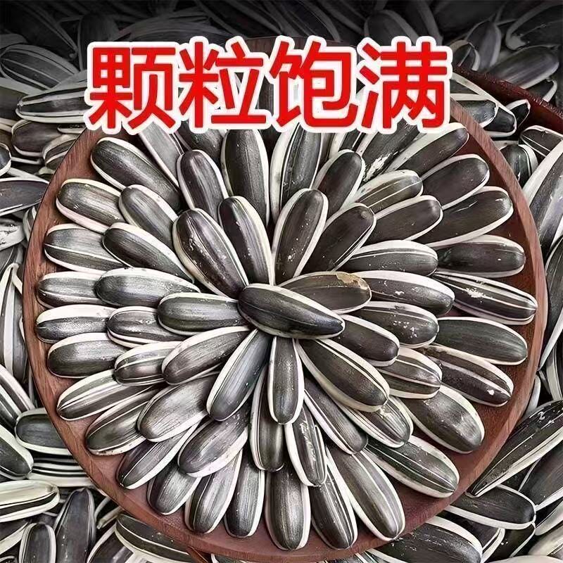 26新货生瓜子葵花籽新鲜内蒙古原味大瓜子葵瓜子香瓜子散生葵花籽