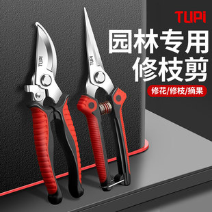 进口园林修枝剪花枝专用剪子园艺剪树枝剪刀修枝剪强力果树剪子