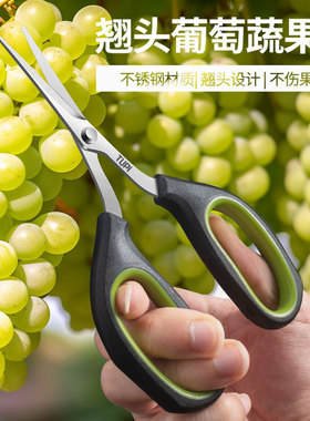 不锈钢翘头葡萄剪刀园艺剪刀疏花蔬果剪刀尖头小剪刀修枝剪葡萄