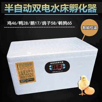 极速爆品新化器小型家用孵化机全自动智能鸡鸭K鹅鸽蛋保温床水箱