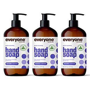 极速Everyone Liquid Hand Soap  Lavender and Coconut  Plant-B