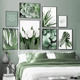 pain orchid tulip White plant green monstera canvas aloe art