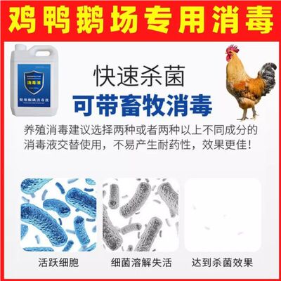 新品鸡鸭鹅消毒液养鸡鸭鹅用场舍厂棚消毒液养殖场专用兽用消毒液