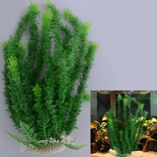 Fake Artificial Grass Plants Water Underwater