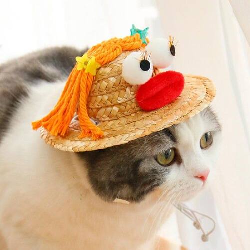 极速Cat Headwear  Windproof Strap   Dog Straw Hat Funny Shap