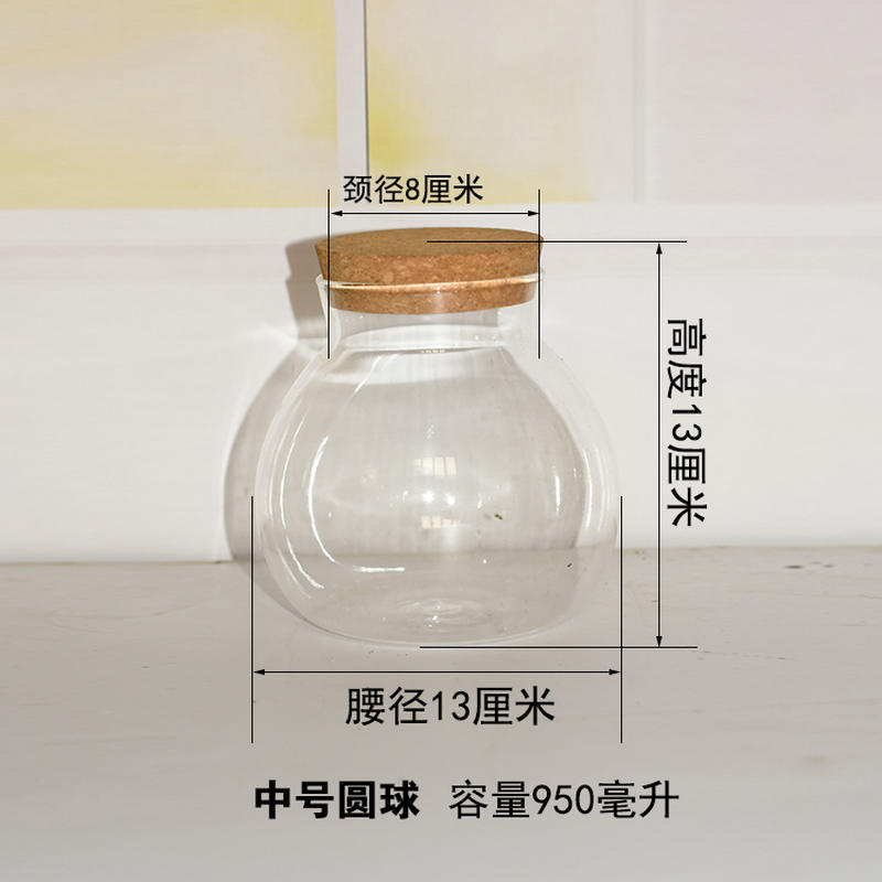 微景观玻璃容器小虾生态瓶小型观赏密封鱼虾小球藻免换水免打理