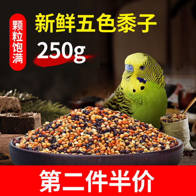 鹦鹉饲料鸟粮文鸟鸟粮虎皮玄凤专用鸟食五色黍子带壳谷子鸟粮混合