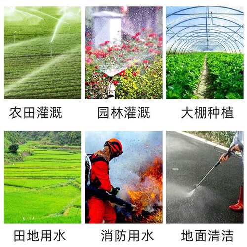 极速大流量220V抽水泵农用灌溉水泵家用高扬程抽水机自吸水泵三相