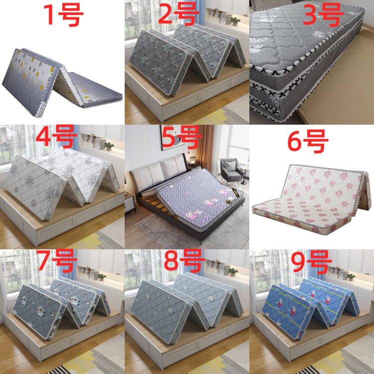 硬牀垫天然椰棕偏硬护腰护脊薄款双人家用经济型学生宿舍摺叠牀垫