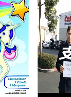 ColorBok QC47648T Suncatcher Kit