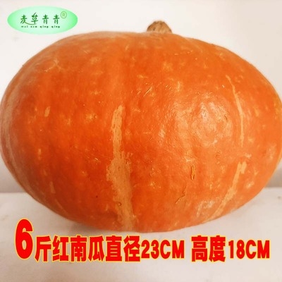 Halloween Zhen Pumpkin Lantern Hand Leaves CChild Kindergar