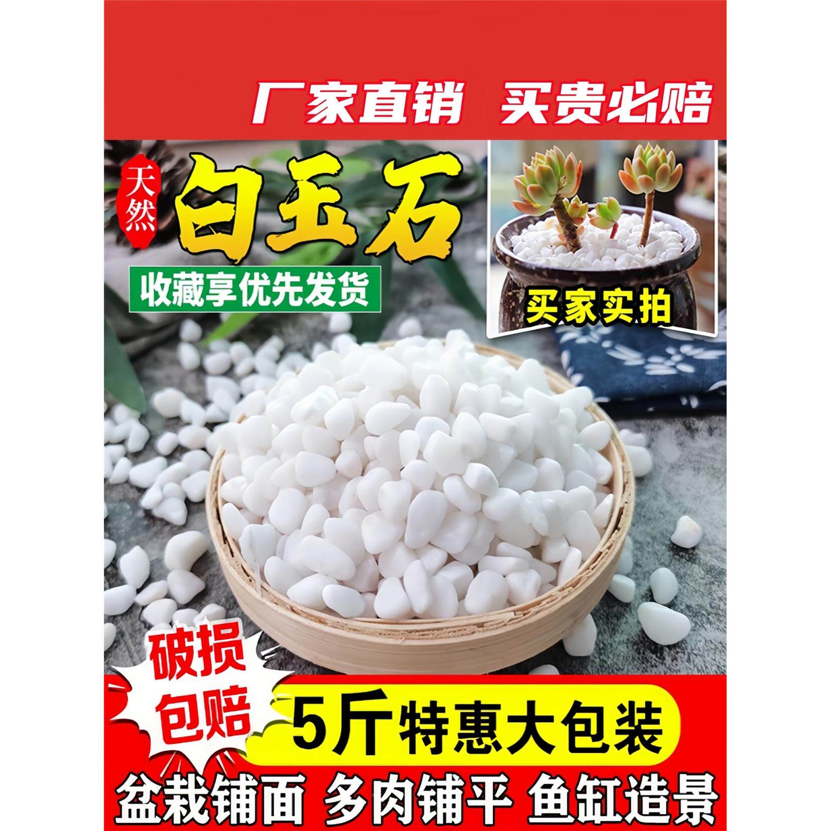 天然白色石子石头大鹅卵石鱼缸铺底花盆铺面水族造景装饰用小白石