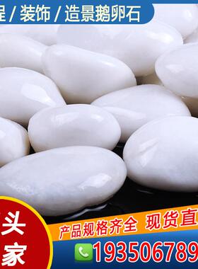 海南高抛纯白白色鹅卵石头庭院铺路鹅软石园艺阳台装饰抛光雨花石