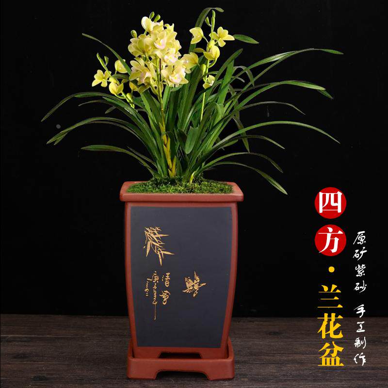 宜兴原矿紫砂兰花专用盆精美四方手工刻绘透气绿萝君子兰盆景花盆