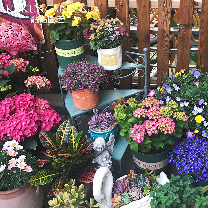 园艺欧式铁艺花架三层可叠加三角置物架折叠阶梯架客厅阳台花盆架