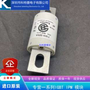 FWH-250A巴斯曼高压直流熔断器Bussmann保险丝250A500V保险管