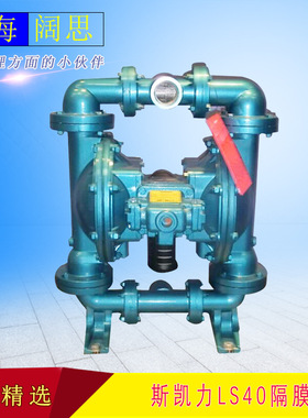 斯凯力LS40 AA-AA-NE-PP-NE-00气动隔膜泵/管道泵排污隔膜泵