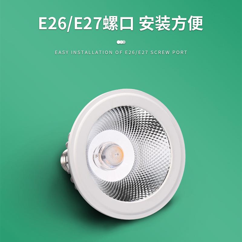 E2色无品牌/种7块根物灯室内园艺植全光谱火祭石莲花上植帕灯蕨类