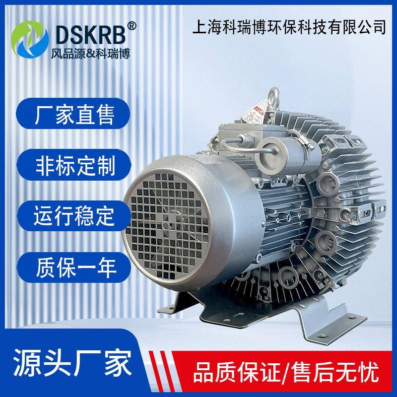 4RB气环式压真空高压K气泵污水处理高风风机低噪音特DQR高压鼓机图片