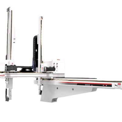 「BRTM09ID货」5轴伺服机械手横走式桁架门架注塑机机龙订械手注