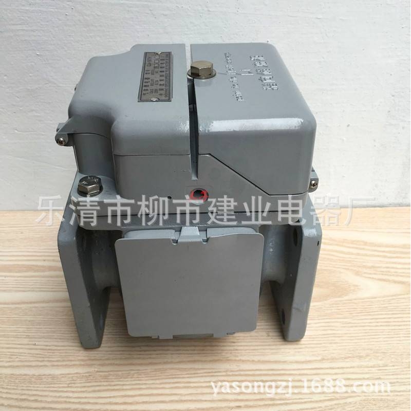 变压器气体继电器 QJ1-80TH QJ1-50TH 电力瓦斯继电器